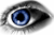 eye