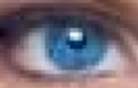 eye