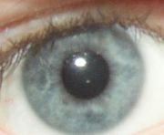 eye